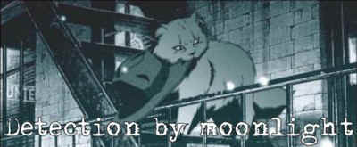 Detection by moonlight